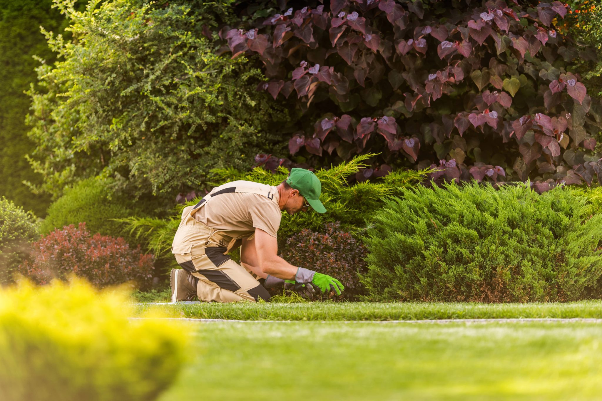 Landscaper Hawkhurst